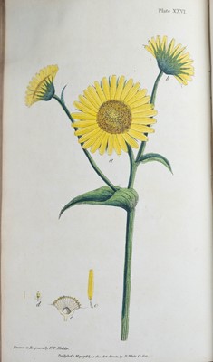 Lot 43 - (Botany) Thomas Martyn