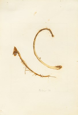 Lot 197 - Sandra BLOW (1925-2006)