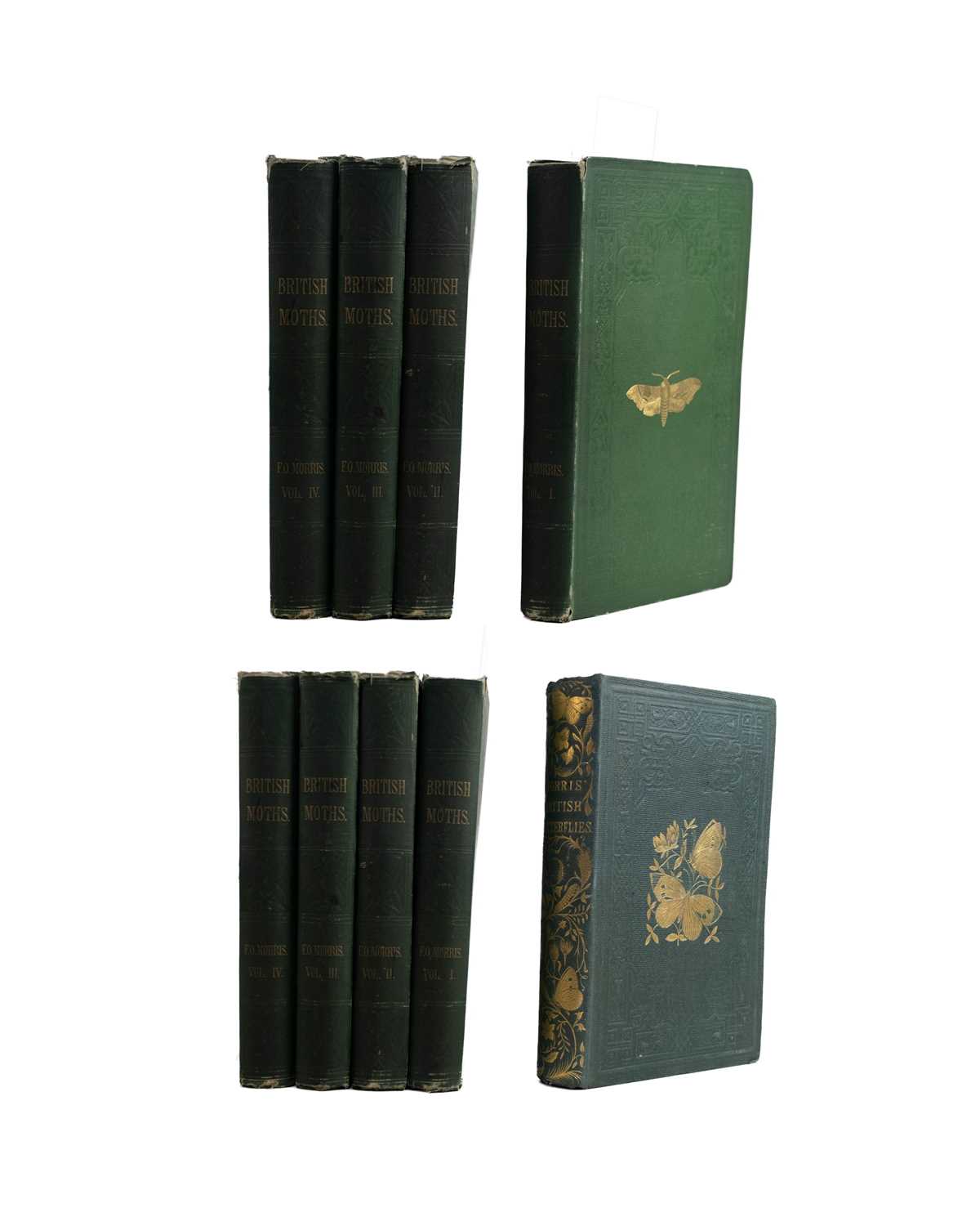 Lot 42 - (Lepidopterology) F. O. Morris