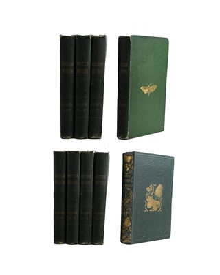 Lot 42 - (Lepidopterology) F. O. Morris