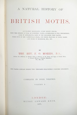 Lot 42 - (Lepidopterology) F. O. Morris