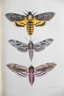 Lot 42 - (Lepidopterology) F. O. Morris