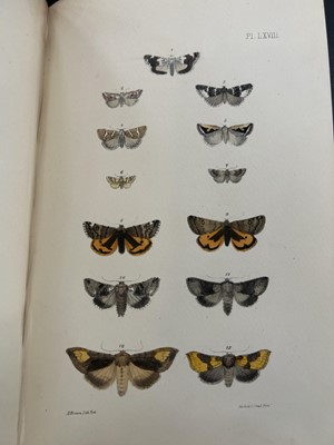 Lot 42 - (Lepidopterology) F. O. Morris