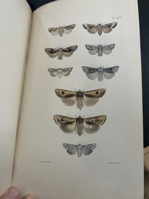 Lot 42 - (Lepidopterology) F. O. Morris