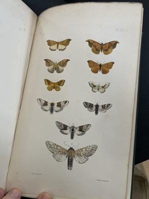 Lot 42 - (Lepidopterology) F. O. Morris