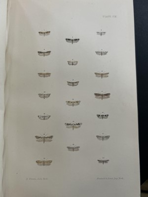 Lot 42 - (Lepidopterology) F. O. Morris