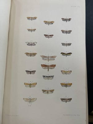 Lot 42 - (Lepidopterology) F. O. Morris