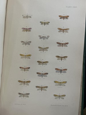Lot 42 - (Lepidopterology) F. O. Morris