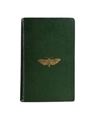 Lot 42 - (Lepidopterology) F. O. Morris