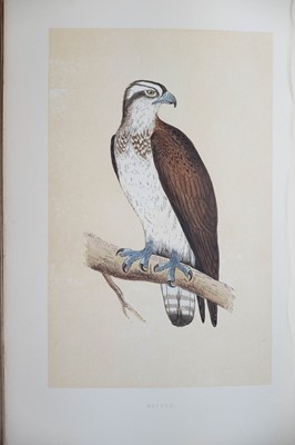 Lot 41 - (Ornithology) F. O. Morris