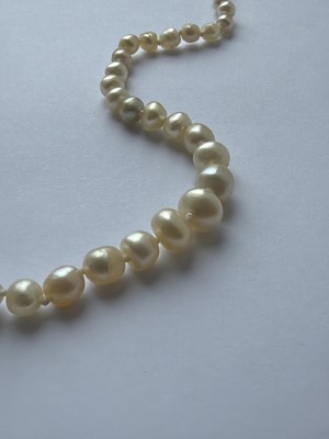 Lot 115 - A graduated pearl necklace strung to a white gold clasp set with two old mine-cut diamonds.