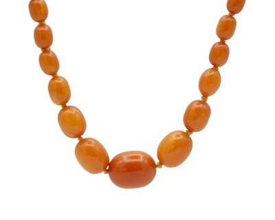 Lot 136 - An egg yolk amber graduated oval bead necklace.