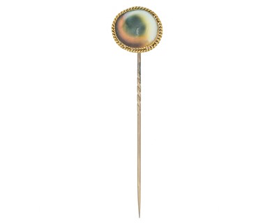 Lot 313 - A Victorian gold-mounted operculum shell stick pin, within original case.