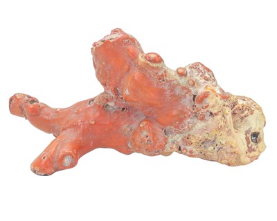 Lot 59 - A collection of coral.