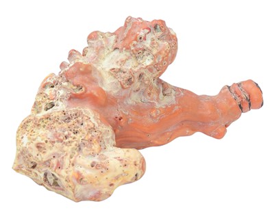 Lot 59 - A collection of coral.