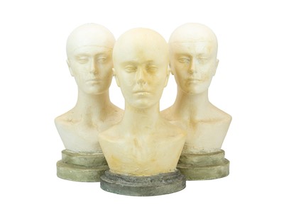 Lot 164 - Three display heads.
