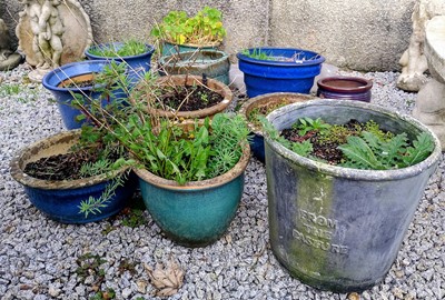 Lot 821 - Eleven plant pots, most with coloured glaze.