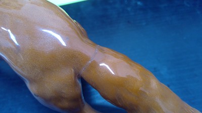 Lot 14 - A Large Beswick Fox. 14cm tall and 24cm long.