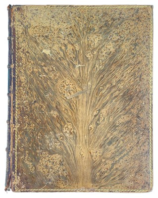 Lot 25 - (Cornwall) Lysons (Daniel & Samuel)
