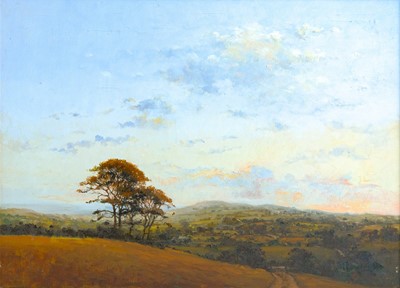 Lot 433 - John MILLER (1931-2002)