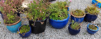 Lot 447 - A collection of glazed plant pots.
