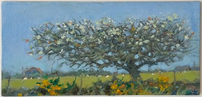 Lot 29 - Robert JONES (1943)
