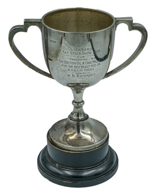 Lot 213 - A two-handled silver trophy by S Blanckensee & Son Ltd.