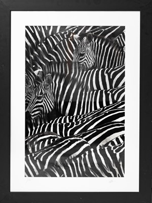 Lot 388 - Four Photographic Works
