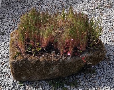 Lot 444 - A weathered granite trough.