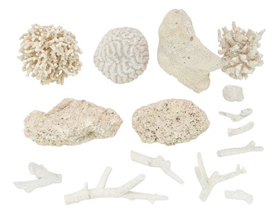 Lot 301 - A collection of white sea coral.