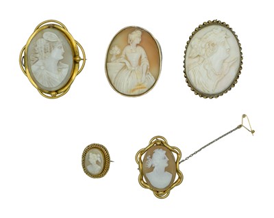 Lot 434 - A selection of cameo shell brooches.