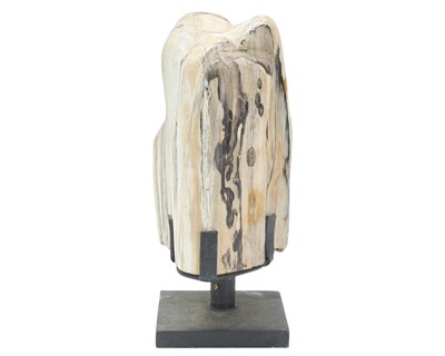 Lot 36 - Petrified wood specimen.