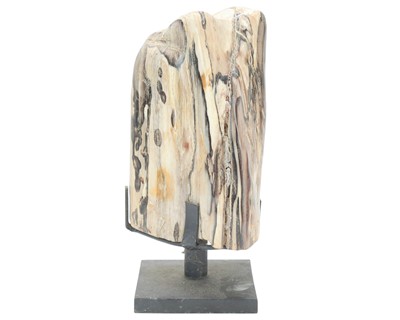Lot 36 - Petrified wood specimen.