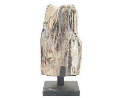 Lot 36 - Petrified wood specimen.