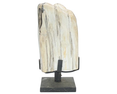 Lot 36 - Petrified wood specimen.