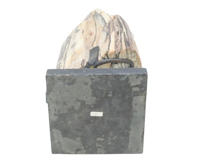 Lot 36 - Petrified wood specimen.
