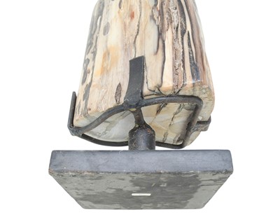 Lot 36 - Petrified wood specimen.