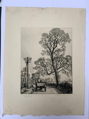 Lot 1360 - Stanley Roy BADMIN (1906-1989) Elm Tree (circa...