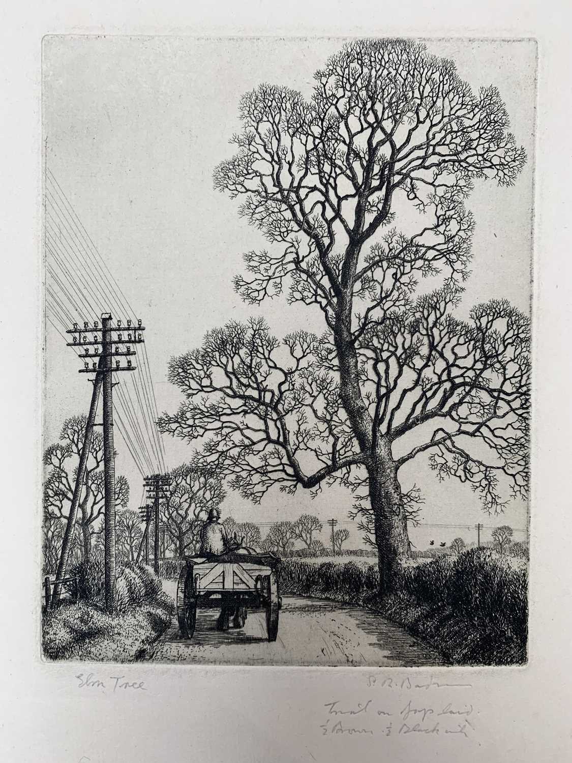 Lot 1360 - Stanley Roy BADMIN (1906-1989) Elm Tree (circa...