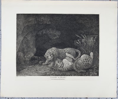 Lot 1426 - George STUBBS (1724-1806) Tygers at Play...