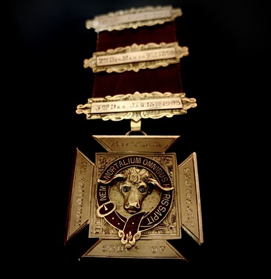 Lot 250 - RAOB Medals - 9ct gold (11grms) Order of Merit...