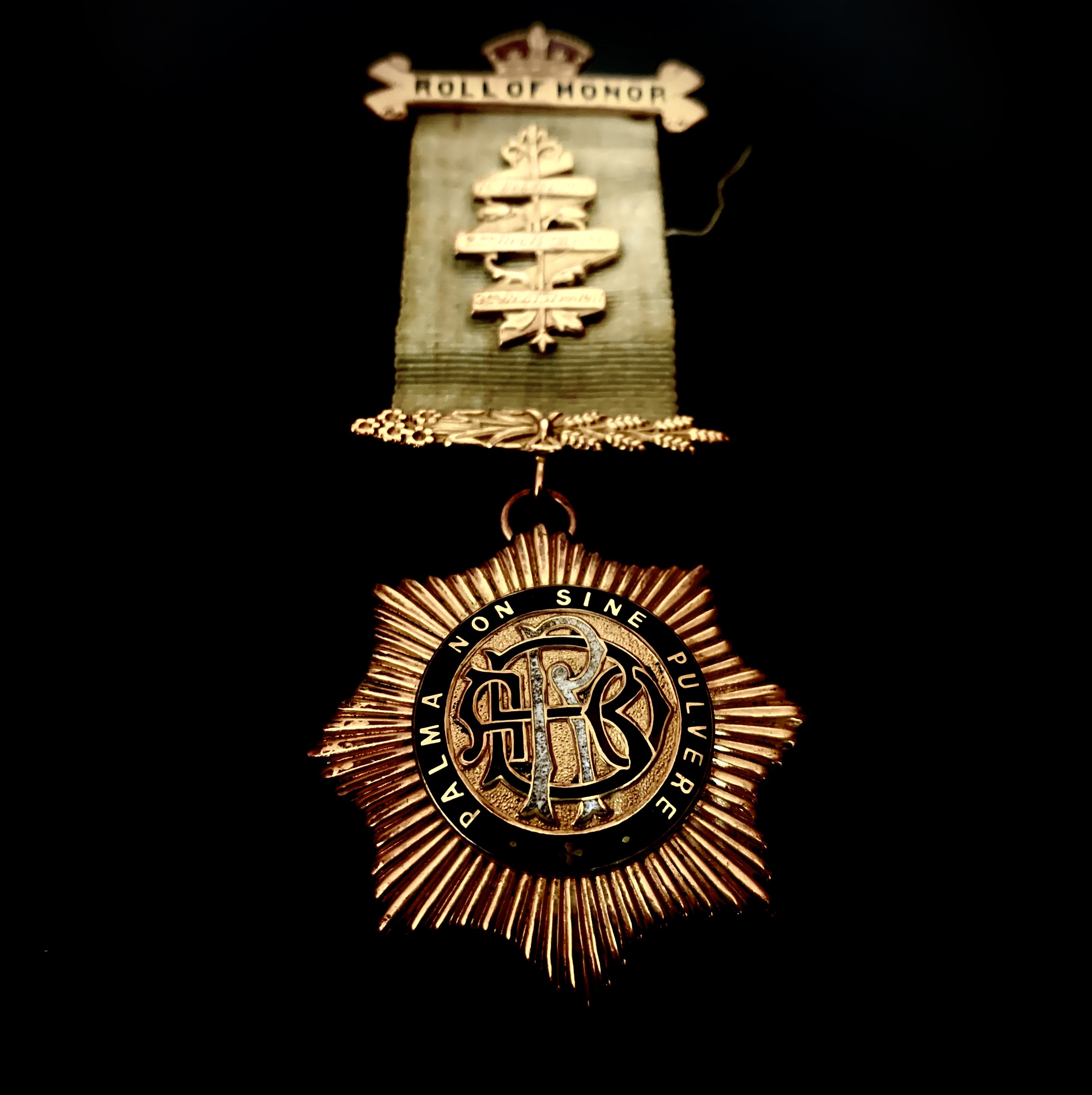 Lot 260 - RAOB Medals - 9ct gold Roll of Honor Medal