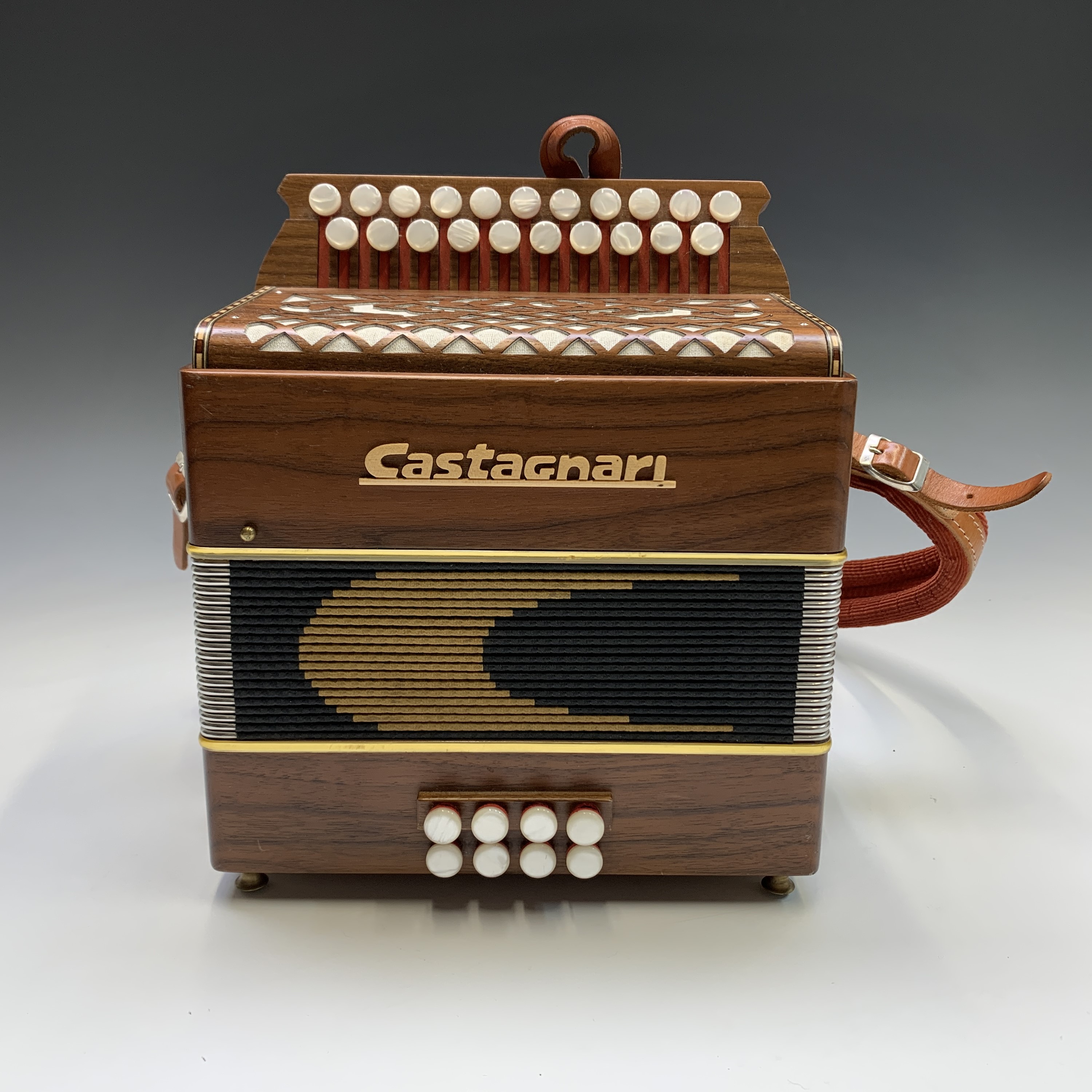 Castagnari melodeon deals for sale