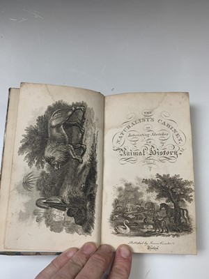 Lot 1207 - REV THOMAS SMITH The Naturalist's Cabinet or,...