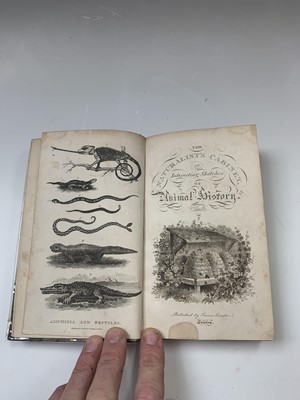 Lot 1207 - REV THOMAS SMITH The Naturalist's Cabinet or,...