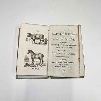 Lot 1235 - EARLY CHILDREN'S BOOK "A Natural History of...