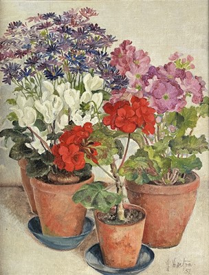 Lot 287 - F HEATON Potted plants Oil on board Signed and...