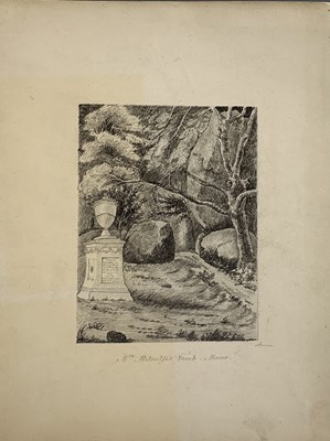 Lot 820 - William SWAINSON (1809-1884) A New Zealand...