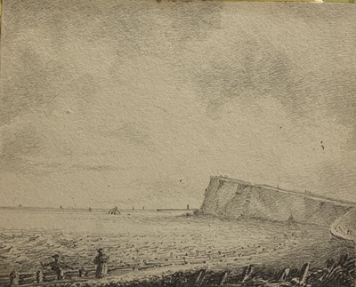 Lot 820 - William SWAINSON (1809-1884) A New Zealand...