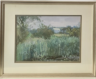 Lot 213 - Barbara WILLS (1924-2013) Landscape Gouache...